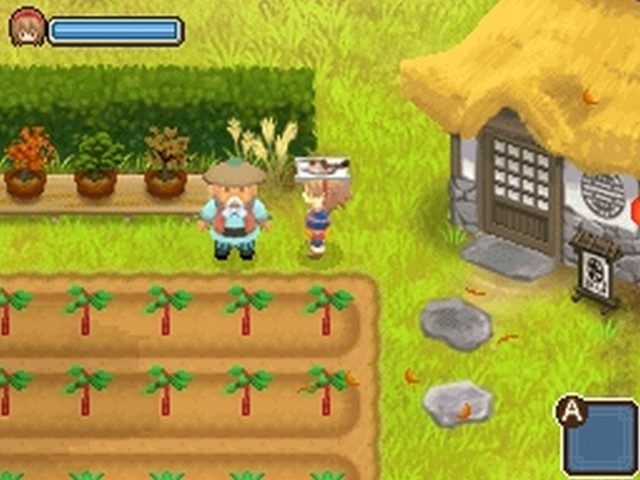 harvest moon the tale of two towns ds